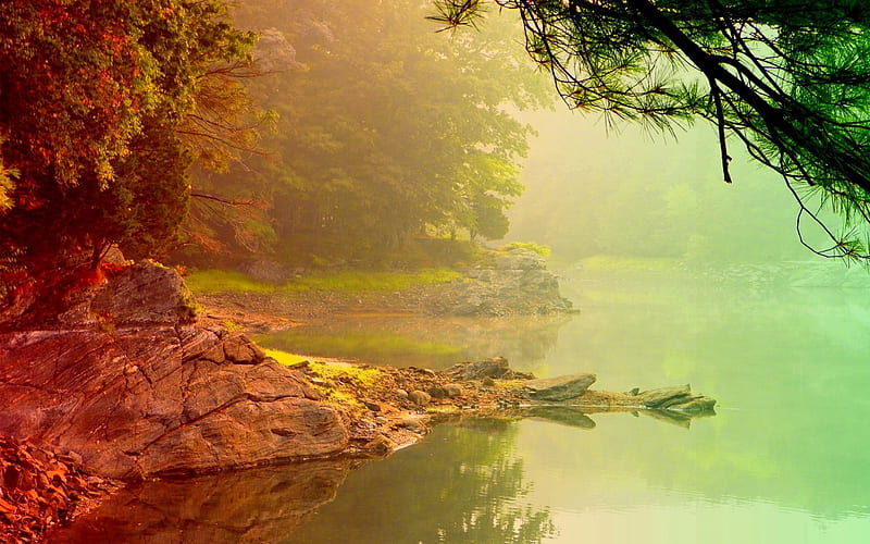 FOGGY MORNING, rocks, shore, trees, lake, fog, mood, mist, reflection, wood, HD wallpaper