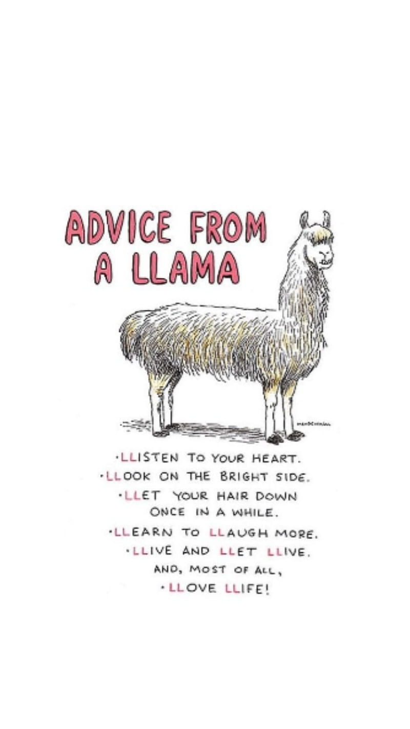 Advice from a llama, alpaca, happy, llamas, HD phone wallpaper