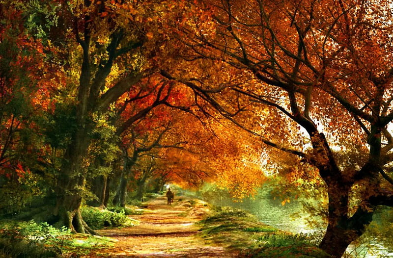 Autumn lover, fall, colorful, autumn, shore, sun, falling, bonito, foliage, leaves, nice, path, road, amazing, lovely, lonely, trees, lake, water, rays, lover, walking, nature, walk, HD wallpaper
