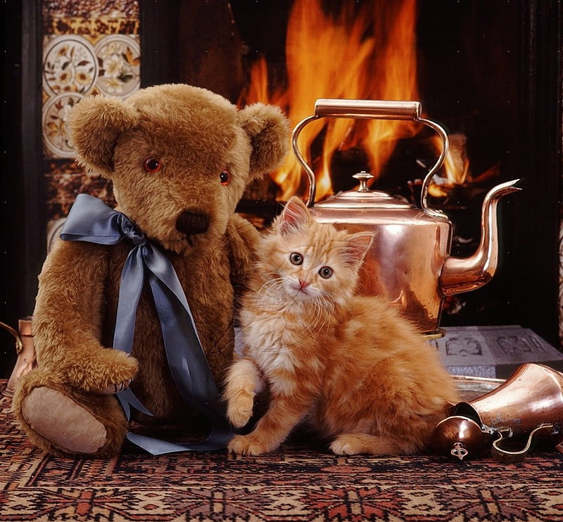 time for playing, teapot, palying, teddy bear, kitten, cats, animals, HD wallpaper