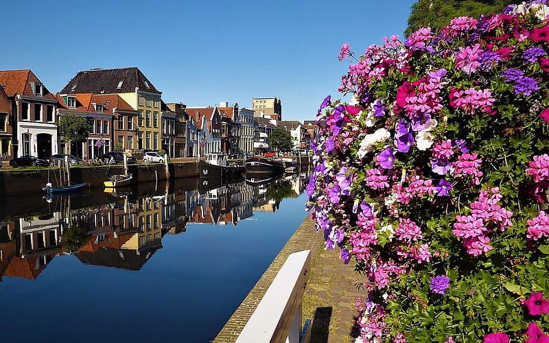 Zwolle, Netherlands, houses, Netherlands, town, canal, boats, flowers, HD wallpaper