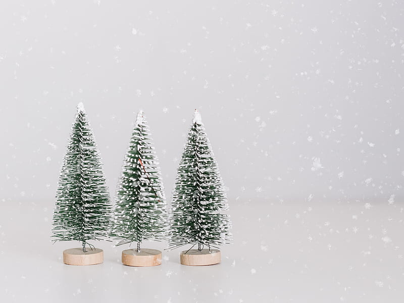 several miniature green-and-white pine tree table decors, HD wallpaper
