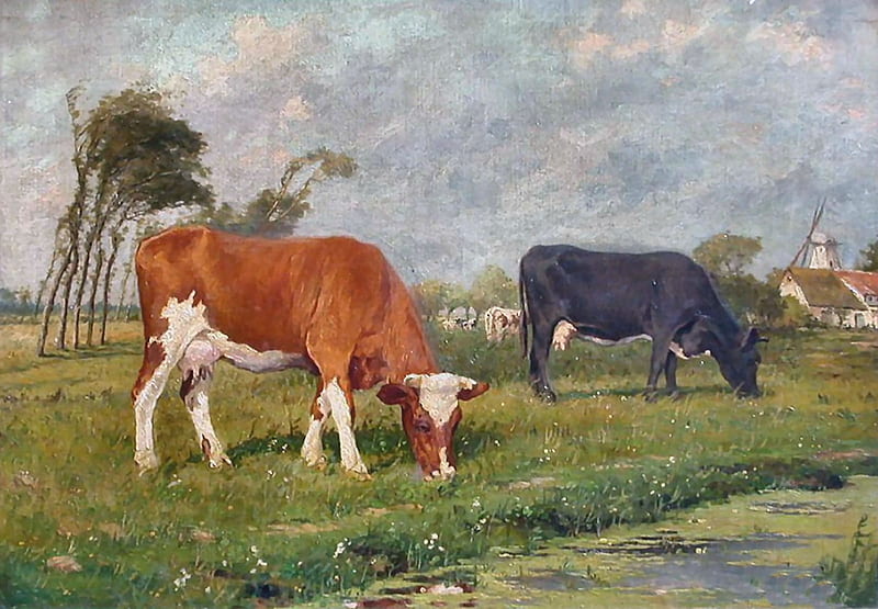 Holland Cattle, art, Netherlands, bonito, illustration, artwork, Holland, painting, wide screen, farm animals, cows, HD wallpaper