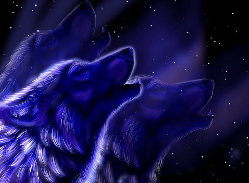 Cry soldier,cry, stars, colors, bonito, magic, animal, splendor, magical, wolf, blue, HD wallpaper