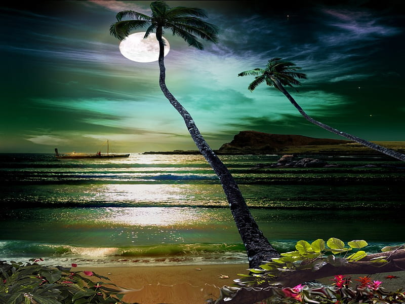 OCEAN BREEZES, beach, moon, breezes, ocean, palm tree, HD wallpaper ...