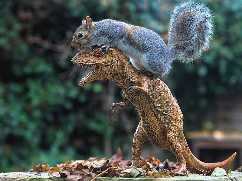 :D, max ellis, veverita, squirrel, toy, funny, dinosaur, animal, figurine, rider, HD wallpaper