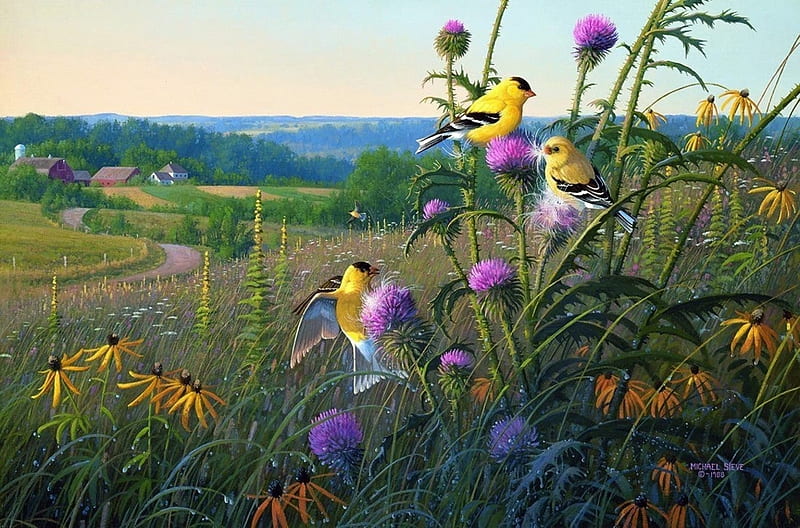 Goldfinches, art, michael sieve, yellow, vara, purple, green, bird, pasari, flower, summer, painting, pink, goldfinch, pictura, field, HD wallpaper