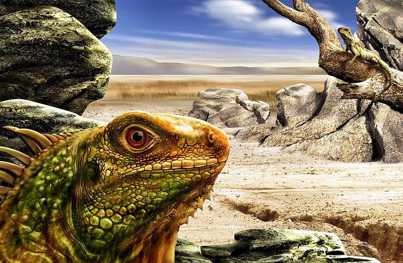 Iguanian, rock, eye, iguana, sky, clouds, spines, tree, basking, sand, lizard, scales, trunk, HD wallpaper