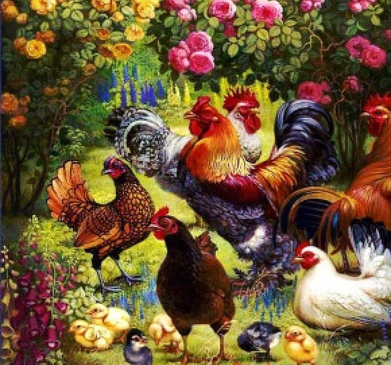 Poultry, rooster, hens, chicken, painting, flowers, artwork, HD wallpaper
