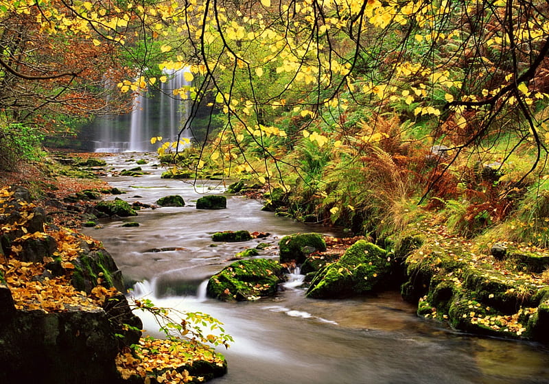 Autumn waterfall, stream, fall, rocks, autumn, falling, bonito, foliage ...
