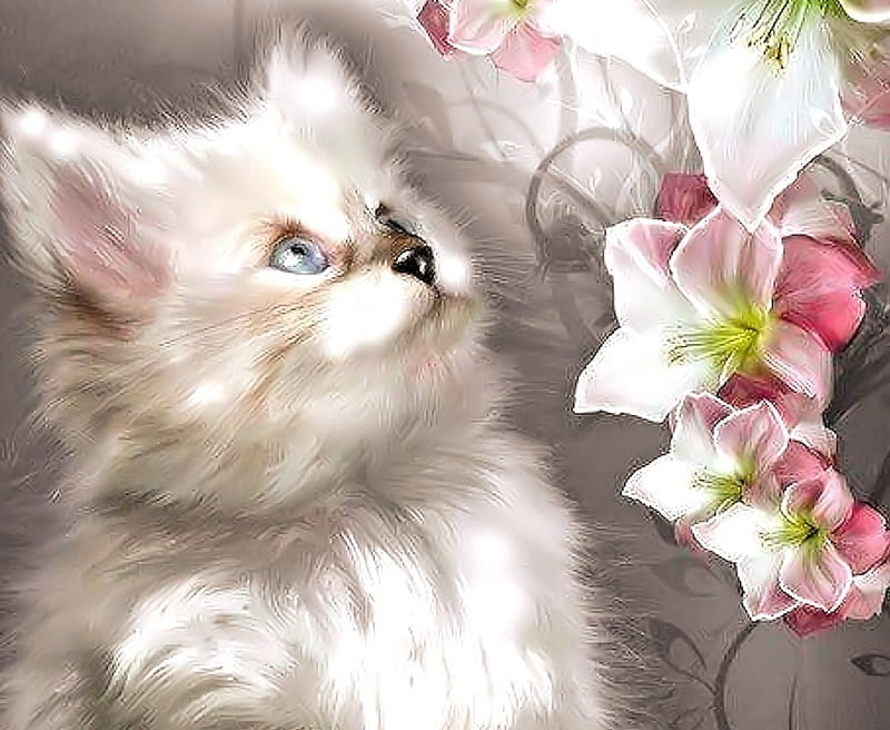 Kitten and Flowers, cute, Kitten, Fowers, Cat, HD wallpaper | Peakpx