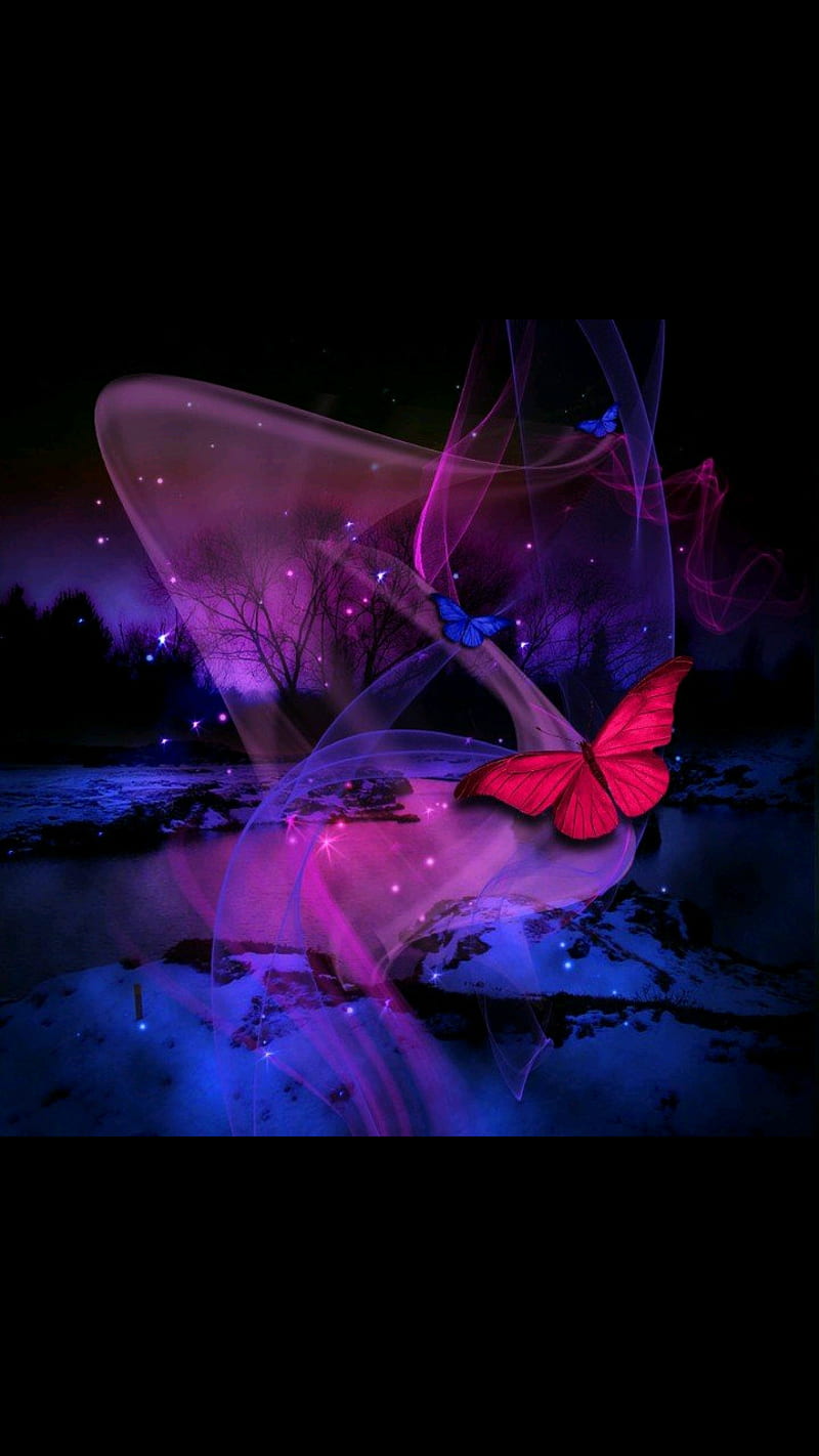 at night, butterfly, HD phone wallpaper
