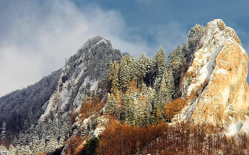 Bradla Biele Karpaty, biele karpaty, forest, slovakia, mountains, trees, HD wallpaper