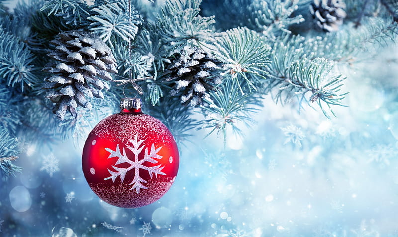 Merry Christmas!, red, ball, deco, craciun, christmas, pine cone, blue, card, HD wallpaper