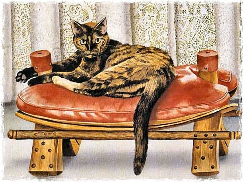 cats-artwork-pet-cat-foot-painting-feline-calico-art-animal-stool-shell-tortoise high-resolution-, Matte, Tappette, Cats, Deutschland, HD wallpaper