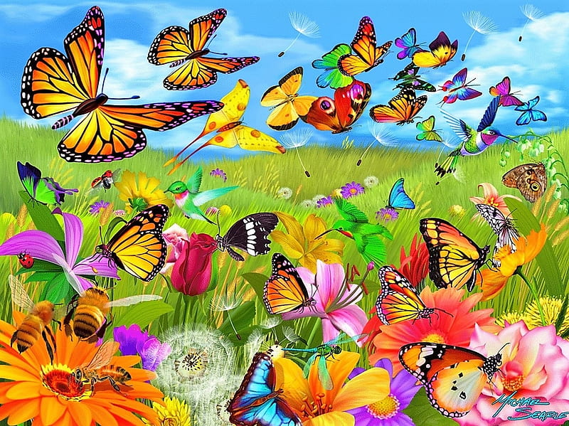 Wild Fields of Butterflies, flowers, fields, butterflies, wild, HD wallpaper