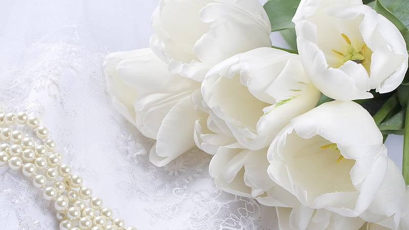 White Tulips and Pearls, BEAUTY, NATURE, ROSES, FLOWERS, HD wallpaper
