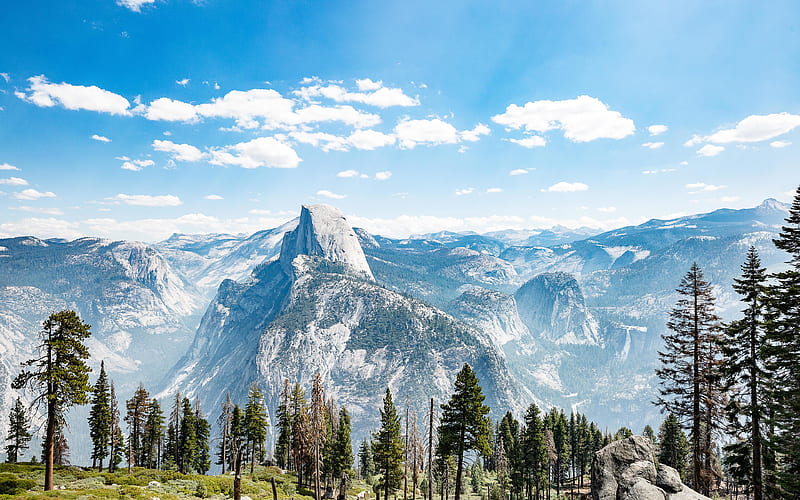 Yosemite National Park, summer, forest, mountains, Sierra Nevada, USA, America, HD wallpaper