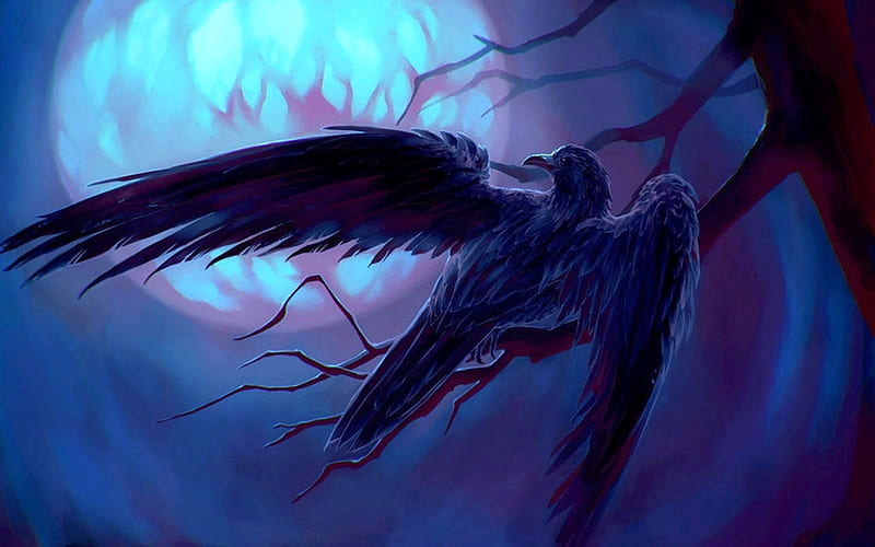 What is a lunar halo? : Mystical Raven