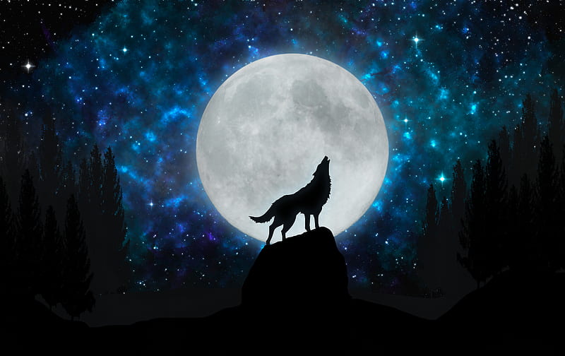 Howling wolf, forest, full moon, galaxy, moon, night, shadow, sky, star, stars, HD wallpaper