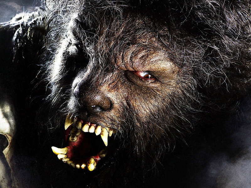 Wolfman, mouth, nasty, wild, teeth, HD wallpaper