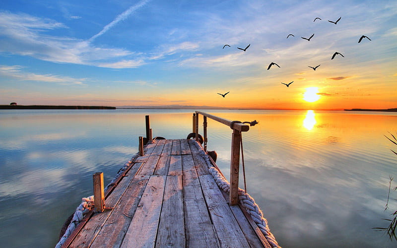 Birds flock in the Sunset, Lake, Bridge, Nature, Sunset, HD wallpaper