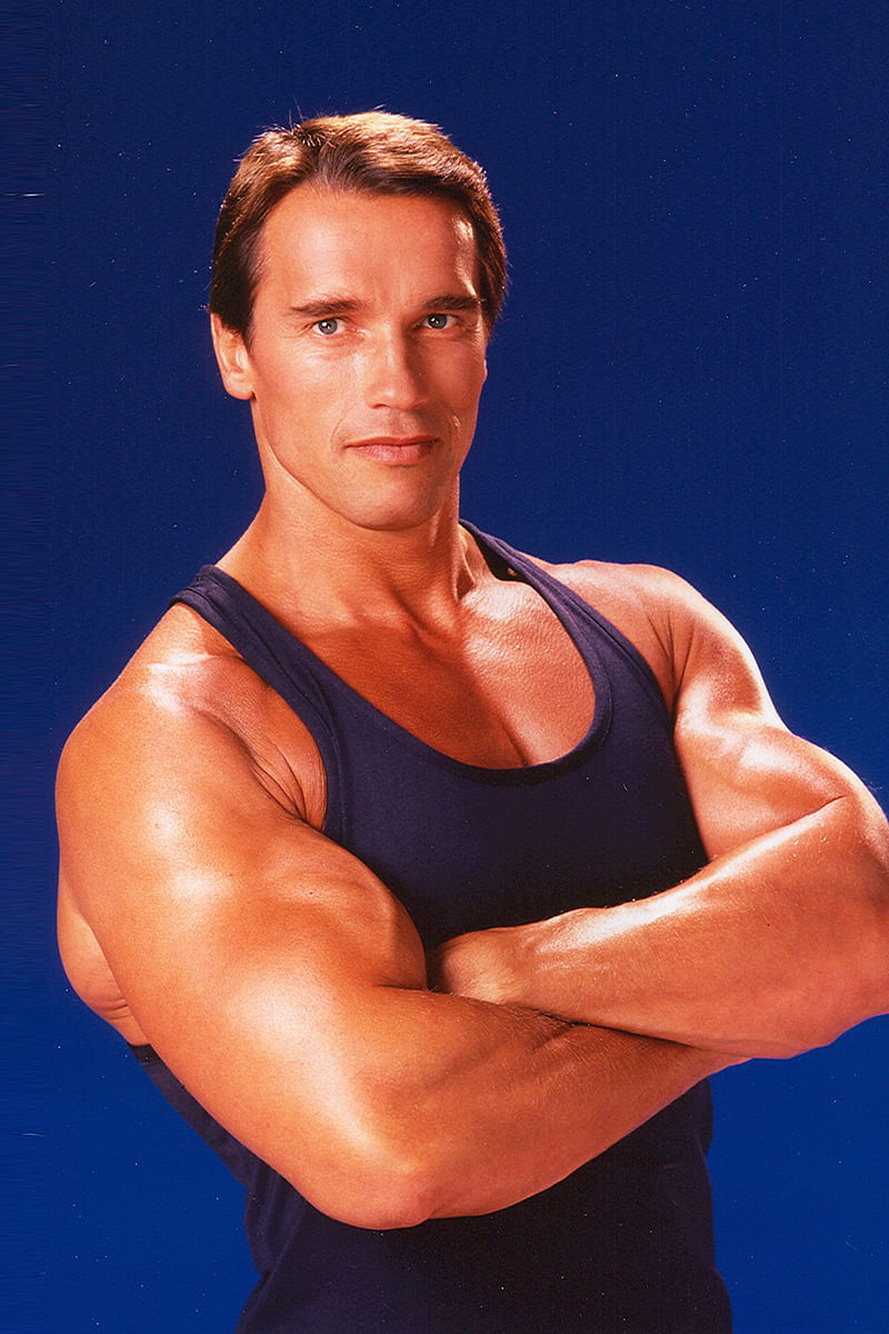 Arnold, hollywood, bodybuilder, HD phone wallpaper | Peakpx