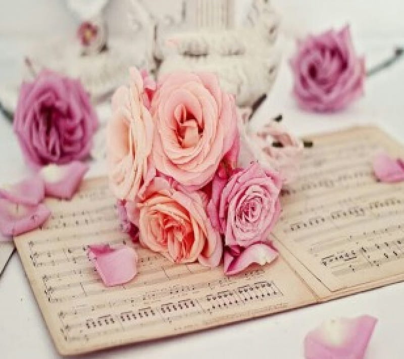 Roses of Music, art, music, soft, roses, abstract, sweet, cute, 3D, flowers, nature, pink, HD wallpaper