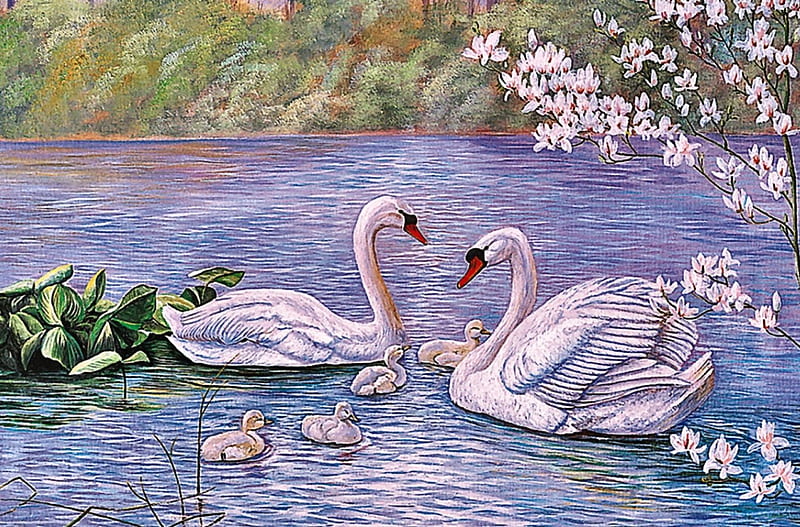 Swan Family F, art, bonito, artwork, swans, animal, bird, avian, painting, wide screen, wildlife, signets, HD wallpaper