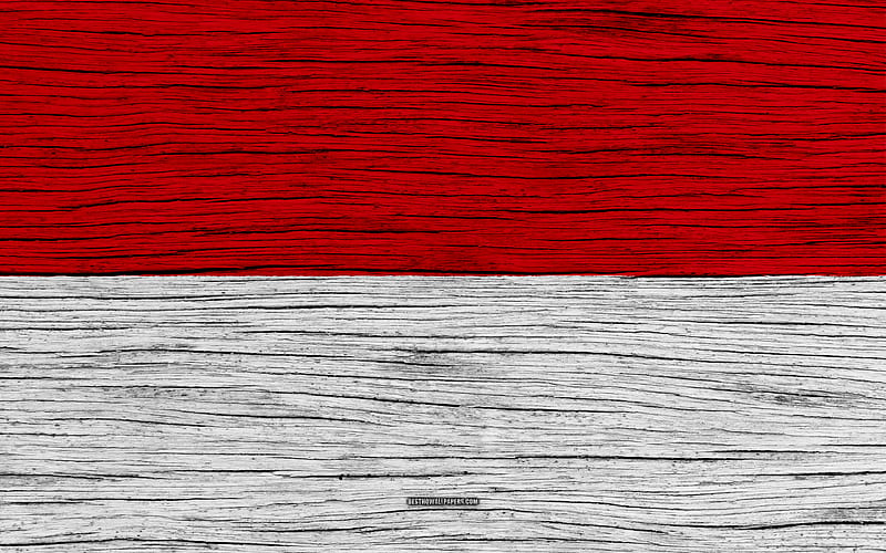 Flag of Indonesia Asia, wooden texture, Indonesian flag, national symbols, Indonesia flag, art, Indonesia, HD wallpaper
