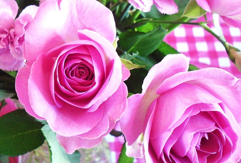 Electric Pink, table, centerpiece, electric, bonito, roses, pink, arranging, HD wallpaper