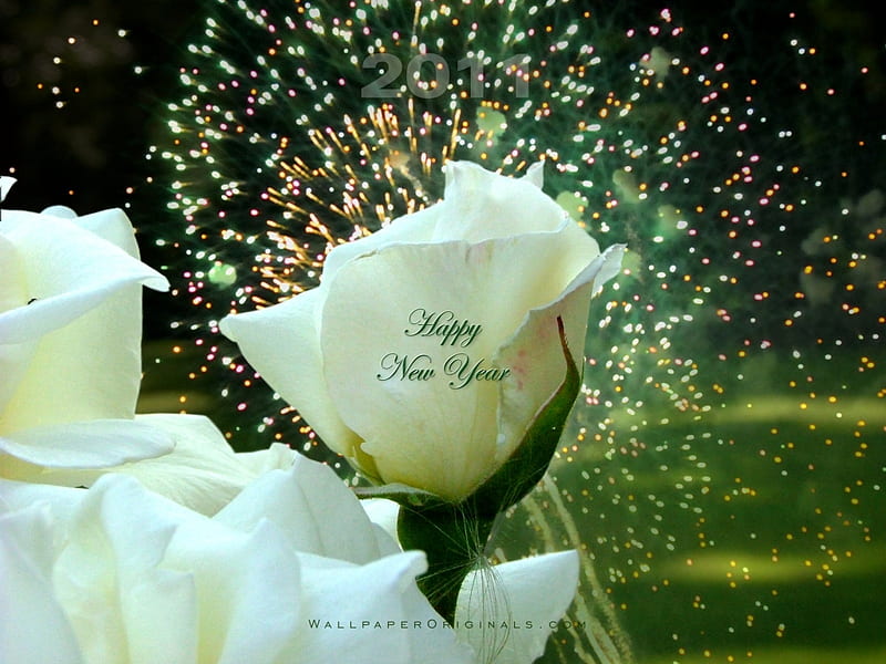 Happy New Year.....wish you a old 2011 !, still life, flowers, new year,  roses, HD wallpaper | Peakpx