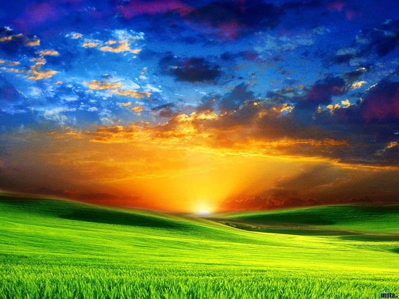 Sunset, sun, beautiful view, orange, yellow, sky, clouds, green, sunsets,  color, HD wallpaper | Peakpx