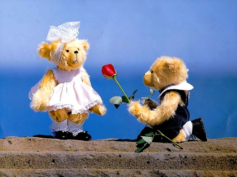 Lovely teddy bear, lovely, rose, gift, sweet, red rose, cute, lovers, love, funny, bears, teddy bear, toys, HD wallpaper