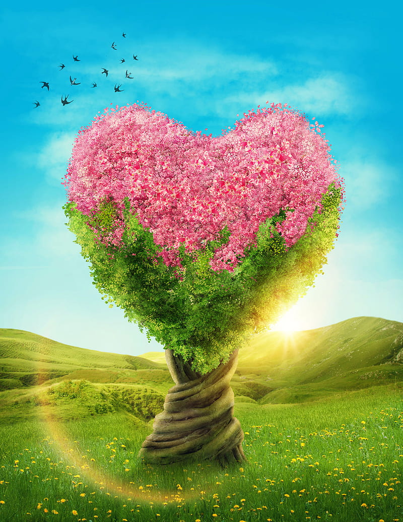 Pink heart tree, love, nature, HD phone wallpaper