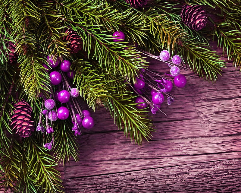 Christmas Branch, HD wallpaper