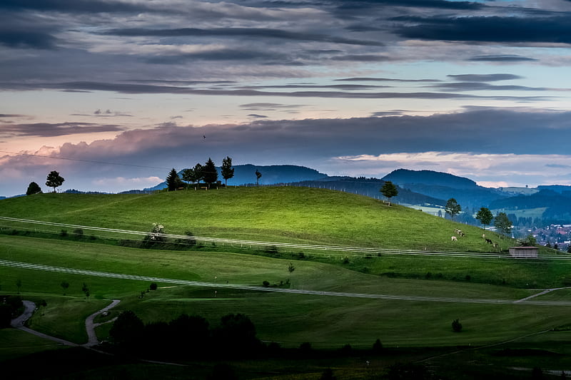 hill, grass, trees, road, sky, HD wallpaper
