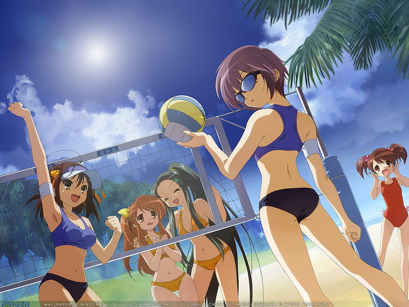 Whoo!! cool shade, swimsuit, nagato, yuki, beach, sunglasses, ball, group, esports, blue, sunlight, volley, sky, bikini, melancholy, cool, net, haruhi, summer, vacations, HD wallpaper