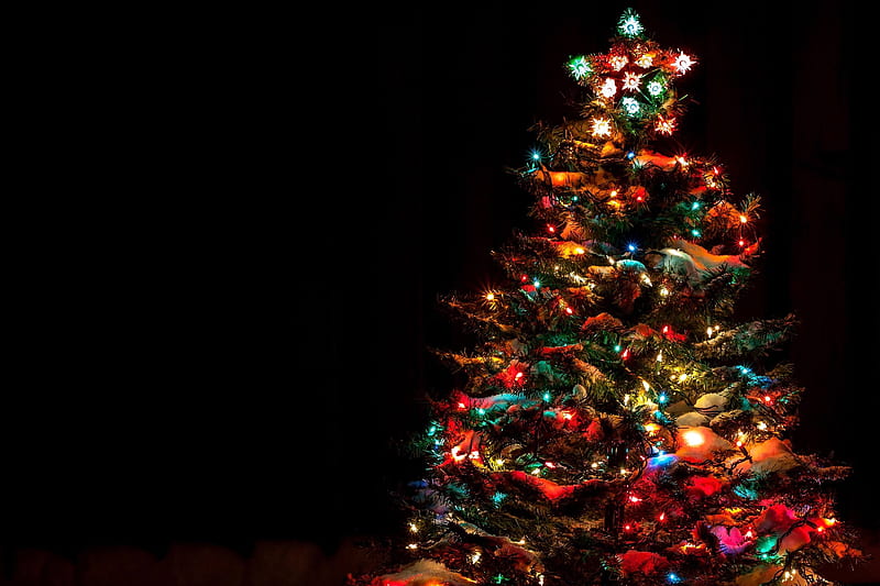 Christmas tree 2020, colorful, colorfull, dark, holy, lights, night, santa, season, HD wallpaper