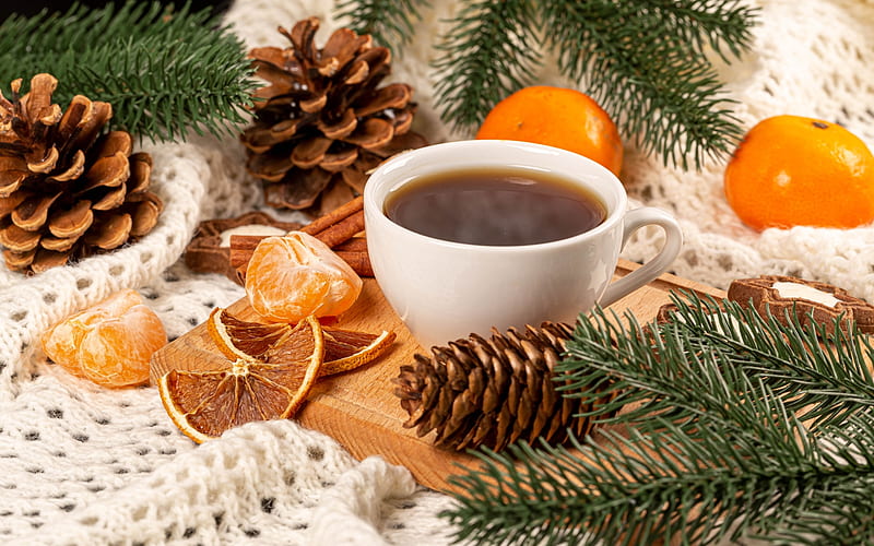 Winter Coffee, pine cones, cup, mandarins, coffee, HD wallpaper