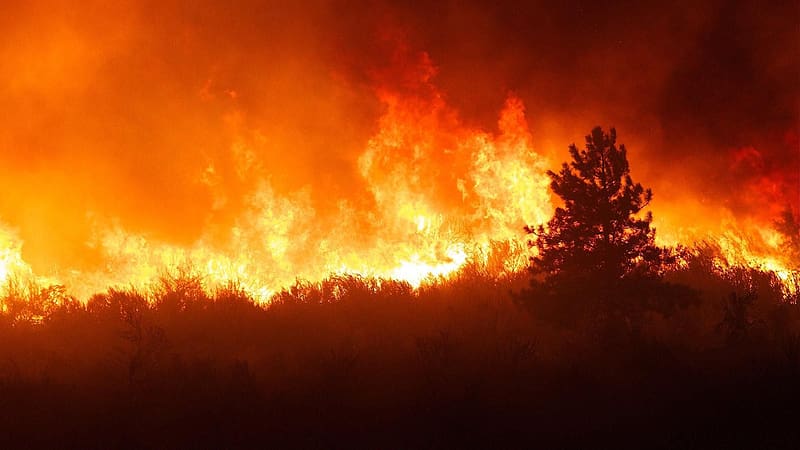 Thousands Flee Canadian Wildfire, Leaving A Ghost Town | Weather.com