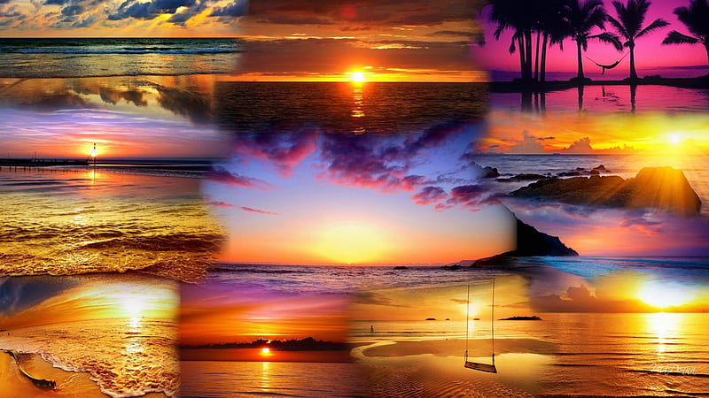 Download Summer Aesthetic Beach Summer Collage Wallpaper  Wallpaperscom