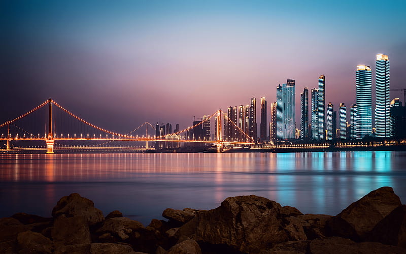 Yangtze River Night view 2022 City, HD wallpaper