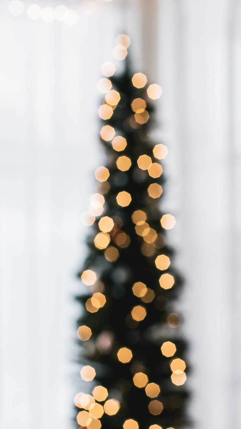 Skinny Tree, lights, christmas, xmas, festive, holiday, HD phone wallpaper