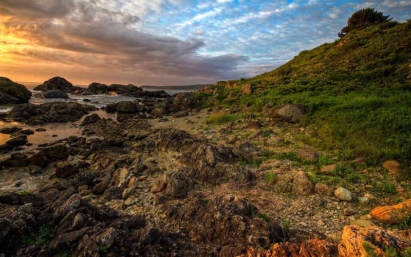 Hachinohe Sunrise, cloud, grass, rocky, colors, surf, bonito, sky, beach, tree, calm, nature, coastline, hill, HD wallpaper