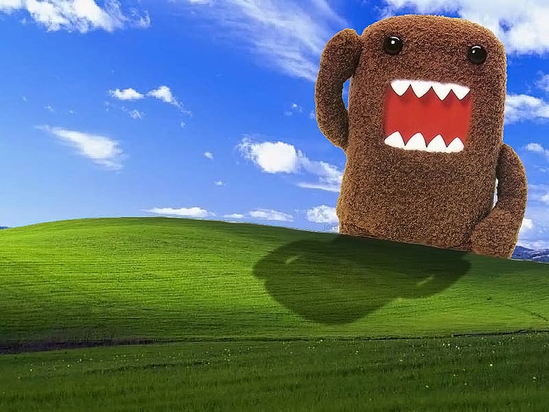 Field, Humor, Domo, HD wallpaper