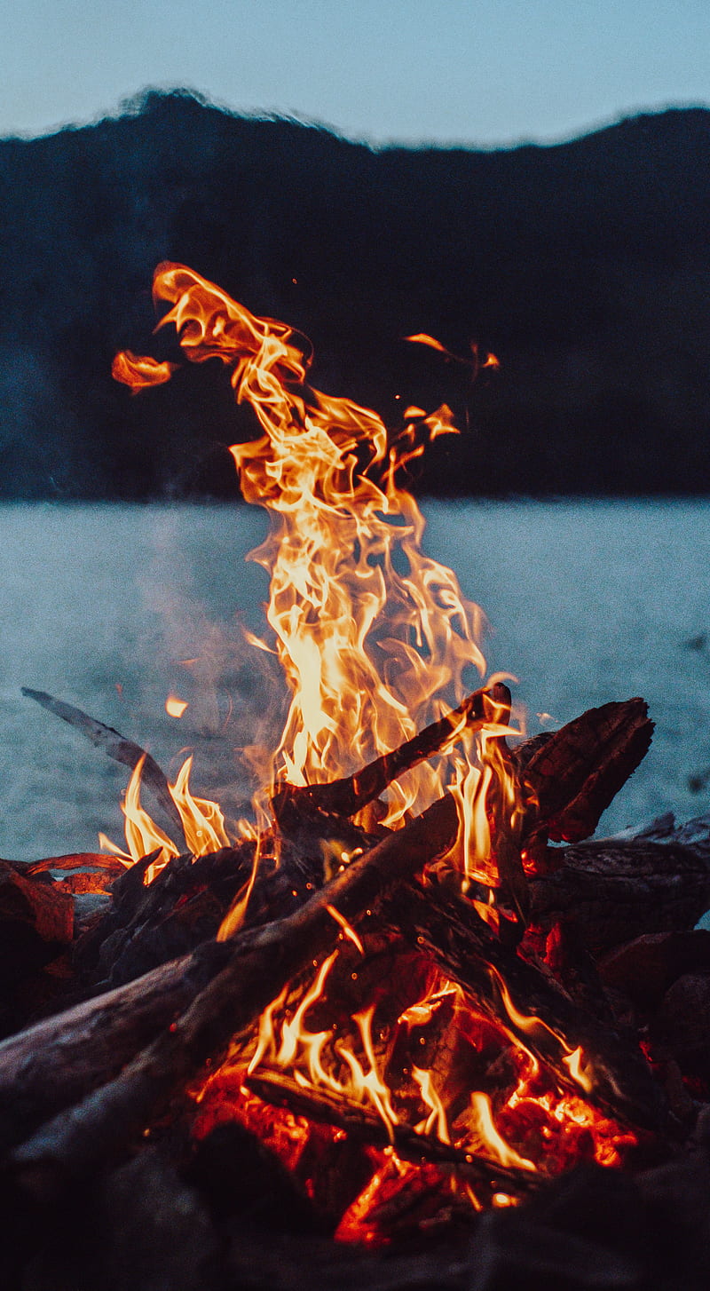 bonfire, fire, flame, wood, burn, HD phone wallpaper