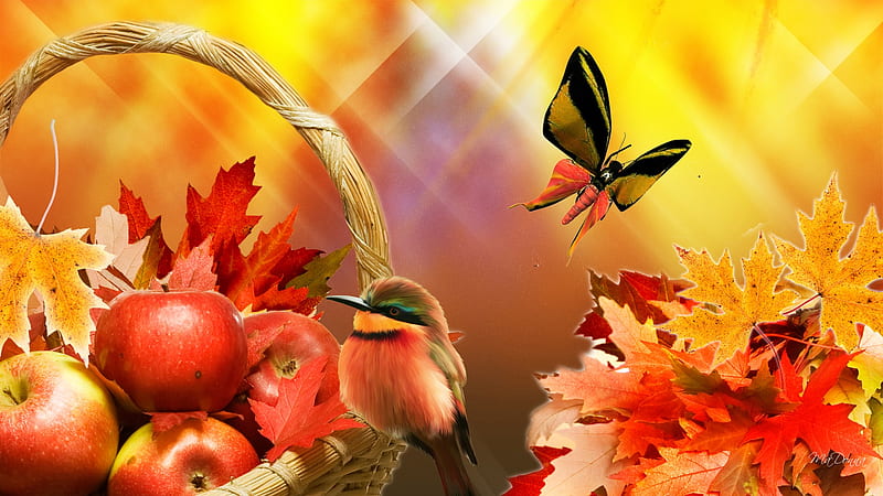 Apple Harvest Time, fall, autumn, apples, firefox persona, lights, leaves, butterfly, bird, bright, color, HD wallpaper