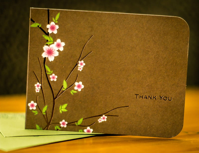 GRATITUDE , thank you, gratitude, words, flowers, magic, wise, card, HD wallpaper