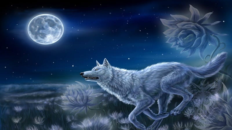 Kiba, art abstract, fantasy, moon, predators wild, painting, wolf, wolves, animamals, night, HD wallpaper
